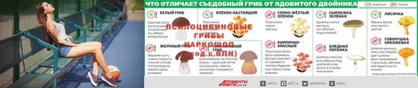 амф Фурманов