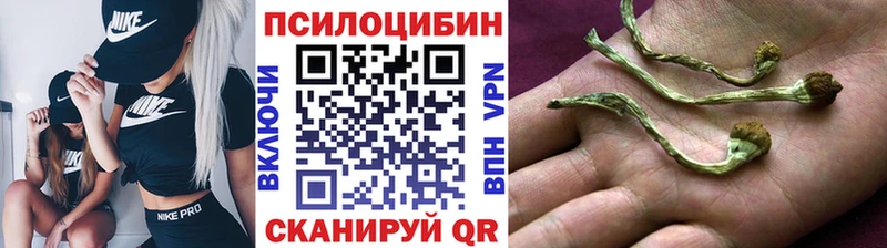 нарко площадка как зайти  Чаплыгин  Псилоцибиновые грибы Magic Shrooms 